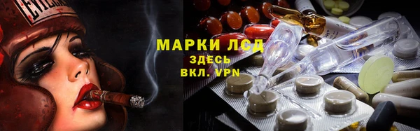прущие грибы Ишимбай