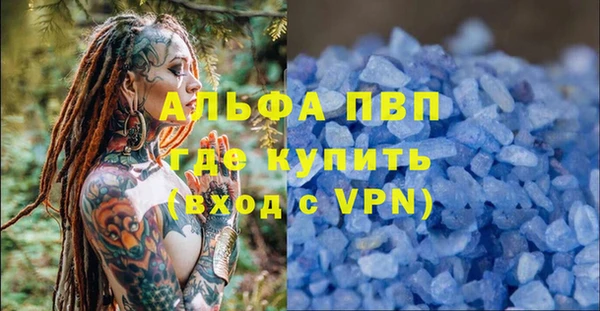 прущие грибы Бородино